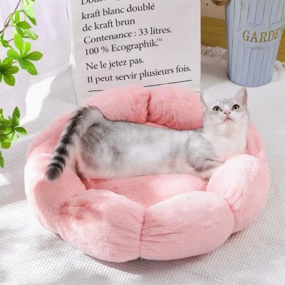 coussin pour chat fleur rose avec chat