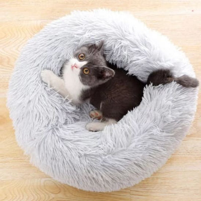 coussin pour chat gris clair chatton