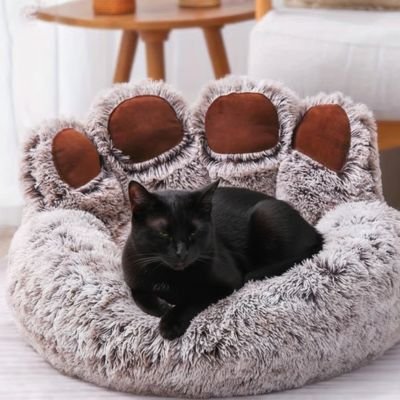 coussin pour chat marron chat noir