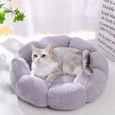 coussin pour chat mauve fleur chat pale