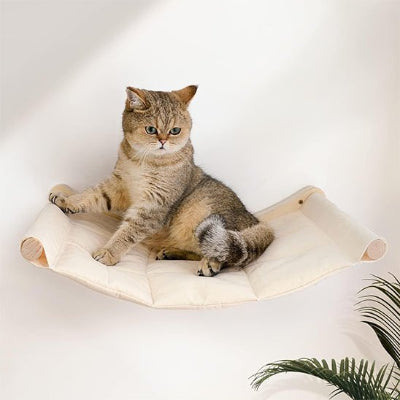 hamac pour chat mignon regard bas