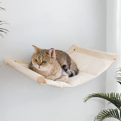hamac pour chat mural chat coucher