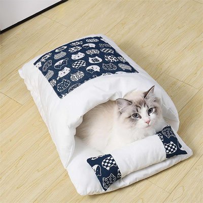 lit pour chat bleu blanc regard haut