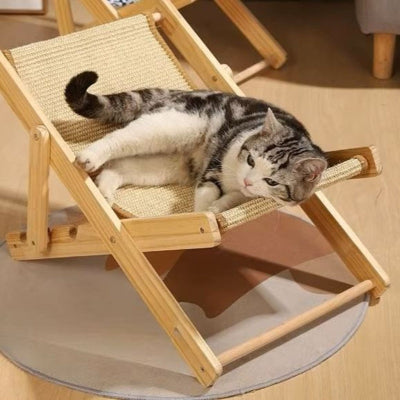 lit pour chat avec chat allonger chaise longue