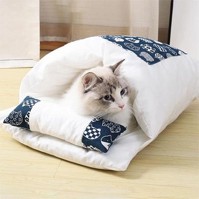 lit pour chat bleu blanc chat blanc