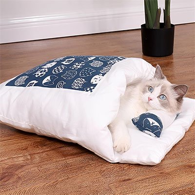 lit pour chat bleu blanc chat surpris