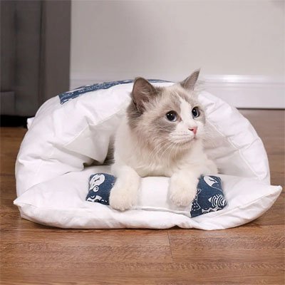 lit pour chat bleu blanc patte blanche