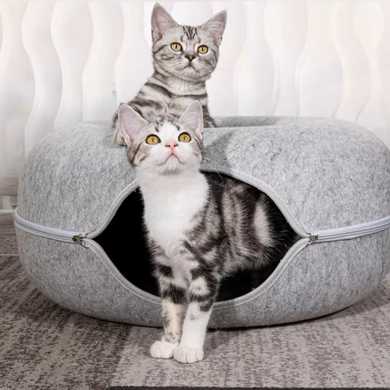 lit pour chat gris pale deux chats curieux