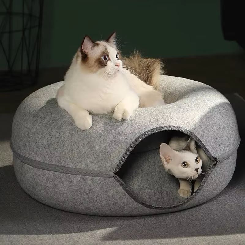 lit pour chat gris pale fond vert