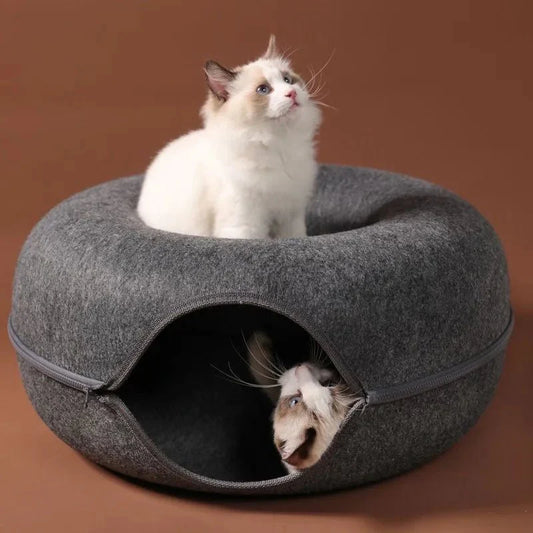 lit pour chat tunnel chat haut bas