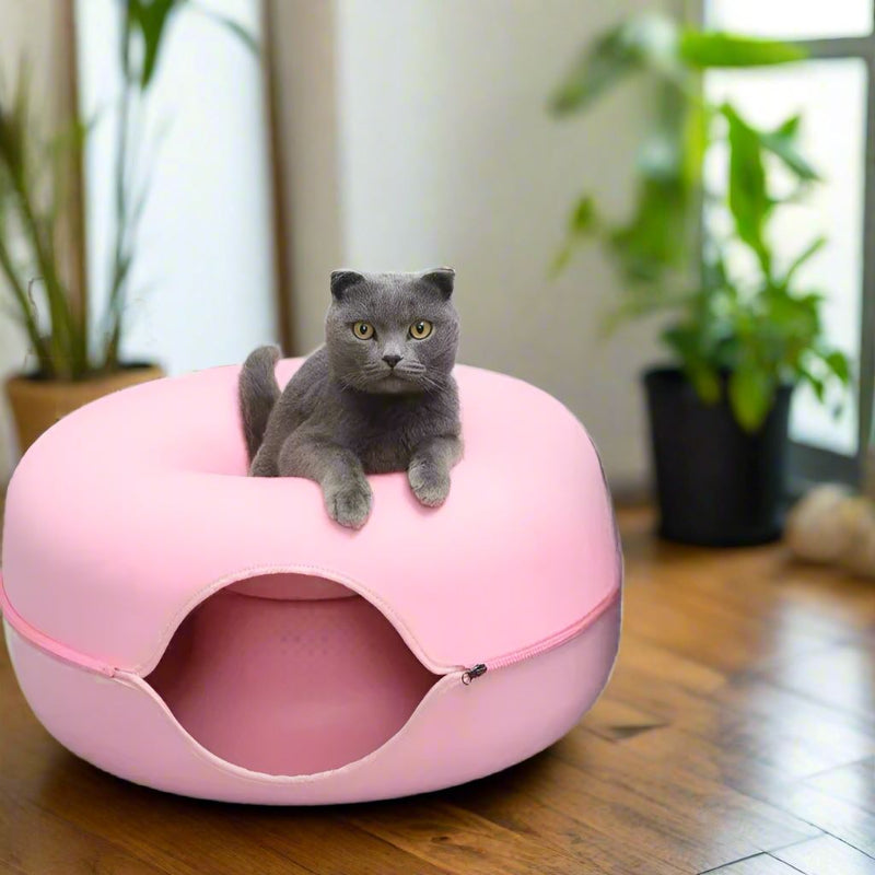 lit pour chat tunnel chat intriguer