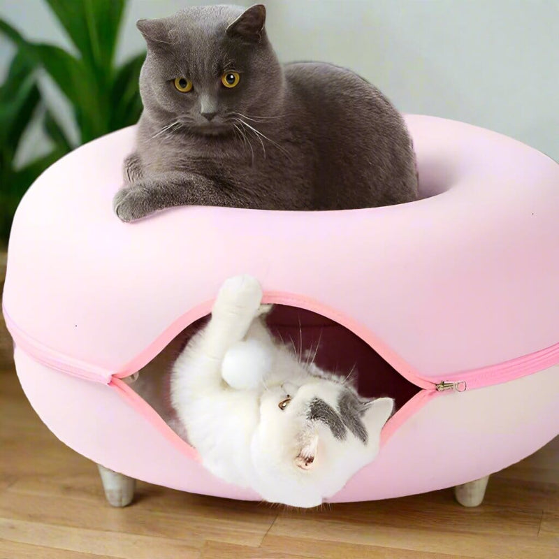 lit pour chat tunnel deux chats jouer