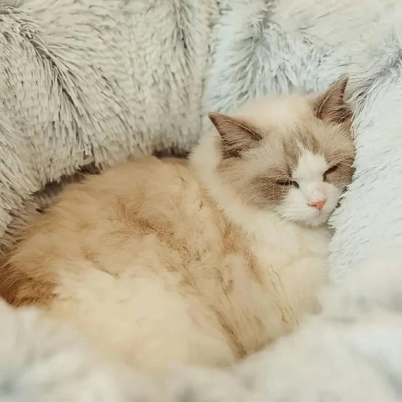 lit pour chat tunnel gris sommeilprofond