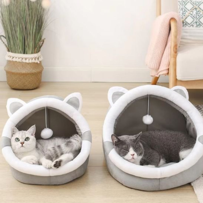 maison chat dome chat sieste
