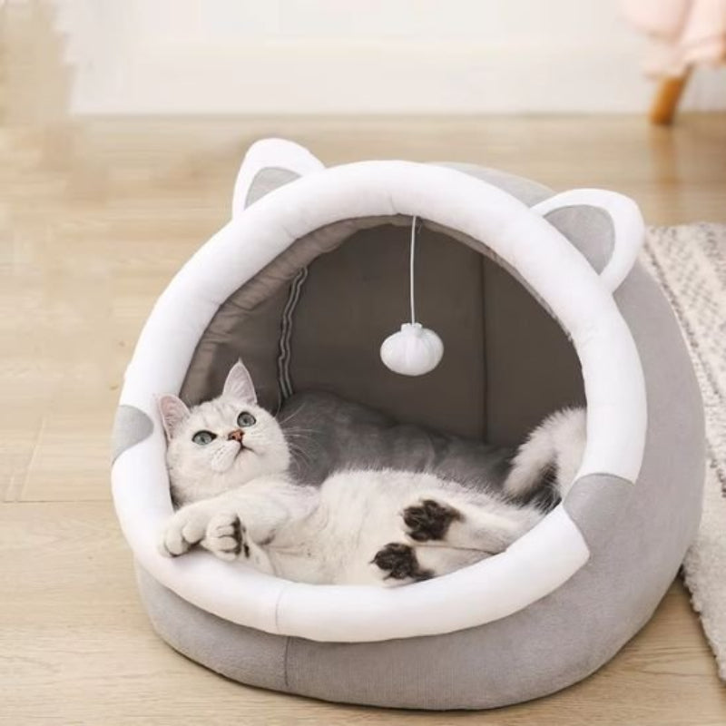 maison chat dome gris chat blanc dos