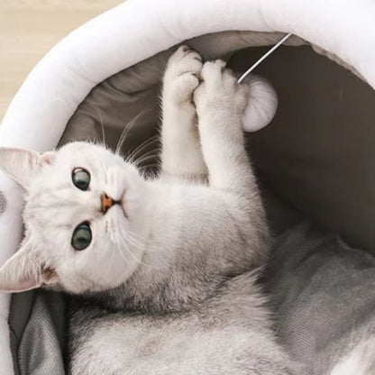maison chat dome premium chat pattes en lair