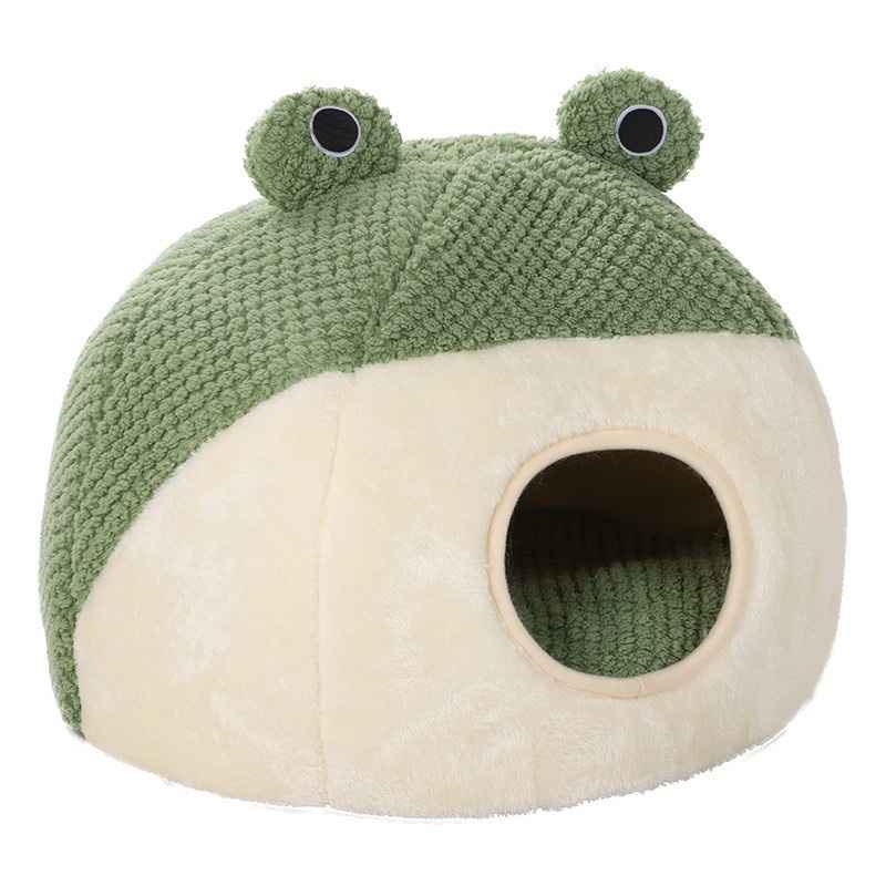 maison chat grenouille fond blanc