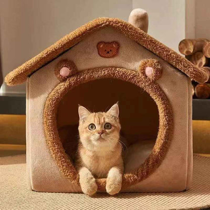 maison chat marron chatton eveille