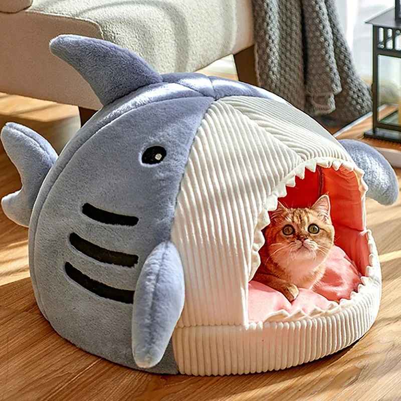 maison chat requin bleue  chat eveille