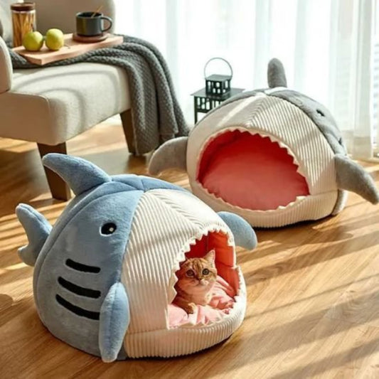 maison chat requin deux maison curieux