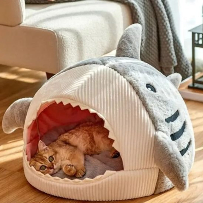 maison chat requin grise cote gauche