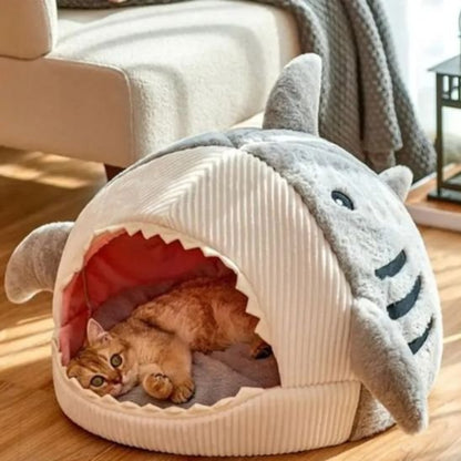 maison chat requin grise cote gauche