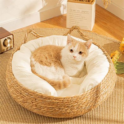 panier osier chat coussin blanc chat deux couleur