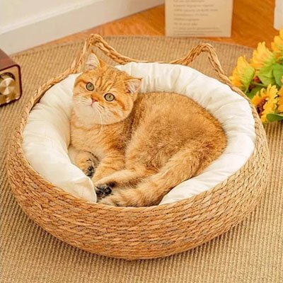 panier osier chat coussin blanc chat roux