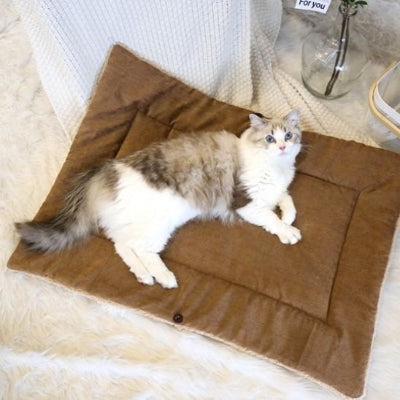 panier pour chat suede sac ouvert tapis marron